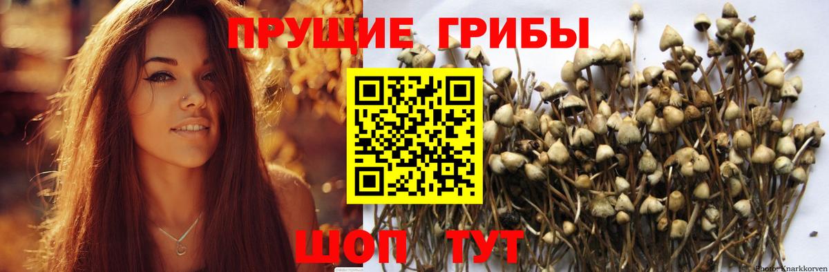 Галлюциногенные грибы Magic Shrooms  Вход с VPN  Добрянка 